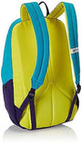 The North Face Wise Guy BackPack