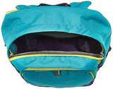 The North Face Wise Guy BackPack
