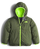 The North Face Little Boys' Toddler Reversible Moondoggy Jacket (Sizes 2T - 4T)