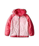 The North Face Reversible Perseus Jacket Toddler Girls'