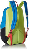 The North Face Wise Guy BackPack