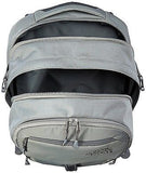 The North Face Surge Backpack