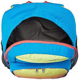 The North Face Wise Guy BackPack