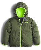 The North Face Little Boys' Toddler Reversible Moondoggy Jacket (Sizes 2T - 4T)