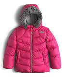 The North Face Little Girls' Toddler Polar Down Parka (Sizes 2T - 4T)