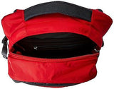 The North Face Iron Peak Backpack
