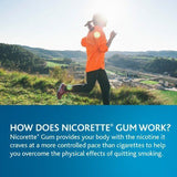 Nicorette Nicotine Gum Fruit Chill 2 milligram Stop Smoking Aid 160 count NEW!