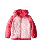 The North Face Reversible Perseus Jacket Toddler Girls'